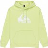 Quiksilver Big Logo GCQ0/Shadow Lime M