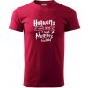 Harry - Hogwarts wasn’t hiring, so I teach Muggles instead - Klasické pánske tričko vyššej gramáže - 4XL ( Marlboro červená )
