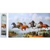 Norimpex Diamantové maľovanie Cválajúce stádo 80 x 40 cm