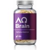 ALFA OMEGA Brain