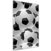 Vertikálny foto obraz sklenený Futbal 50x100 cm