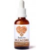 Trávníček Dračia krv Vilcacora tinktura 50 ml