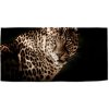 Sablio Uterák Leopard - 70x140 cm