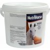 Doplnkové krmivo pre kone na kĺby, šľachy a chrupavky NutriHorse MSM
