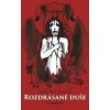 Rozdrásané duše - Milan Kališ