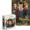 DODO Harry Potter Harry Ron a Hermiona 250 dielov