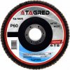 Lamelový brúsny kotúč 125 × 22,2 mm P60 Tagred Svararena.cz