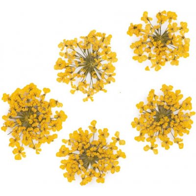 Starnails Sušené kvety na nechty - Yellow, 5 ks