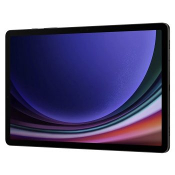 Samsung Galaxy Tab S9 5G SM-X716BZEAEUE