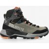 Trekingové dámske topánky Dolomite Vernale Leather High GTX - silver green/sand pink