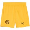 Puma Borussia Dortmund BVB 09 kraťasy detské (2025-2026) vonkajšie