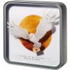 Harry Potter - Perspex Lamp - lampa dekorativní