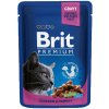 Brit Premium Cat Chicken & Turkey 24 x 100 g