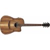 Ibanez V40WSCE Brown