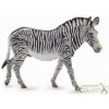 Zebra Grevys XL