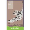 E-kniha Priateľ - Sigrid Nunez