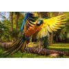 DIMEX | Vliesové fototapety na stenu Krásny farebný papagáj MS-5-0413 | 375 x 250 cm | zelená, modrá, žltá, hnedá + Vliesová fototapeta na stenu DIMEX Krásny farebný papagáj MS50413 v rozmere 375 x 25