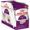 ROYAL CANIN Sensory Feel 12 x 85 g mokré krmivo