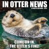 In Otter News 12 X 12 Wall 2026