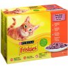 Friskies kuraťom kačicou lososom moriakom krmivo v šťave 12 x 85 g