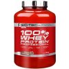 Scitec Nutrition 100% Whey Protein Professional - Vanilka, Lesní plody - 920 Gramů