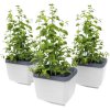 Gusta Garden GG-124F11