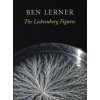Lichtenberg Figures (Ben Lerner)(Brožovaná)