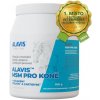 Alavis MSM pre kone plv 600 g