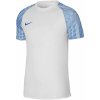 Tričko Nike Dri-FIT Academy Jsy SS M DH8031 102