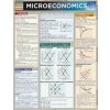 Microeconomics (John C. Mijares)(Brožovaná)