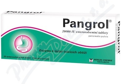 Pangrol 20 000 tbl.ent. 100 x 20 000