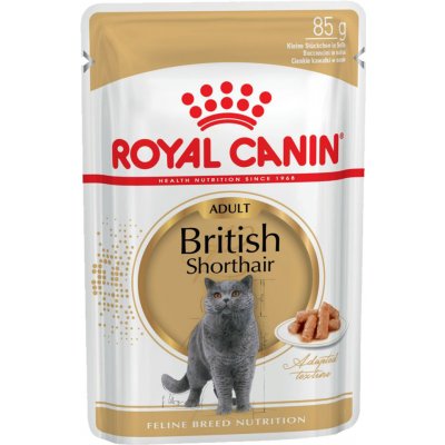 Royal Canin British Shorthair Adult v omáčke - 24 x 85 g