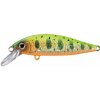 Wobler Shimano Cardiff Stream Flat 50HS Charchback
