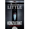 Konzultant