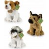 Pes sediaci náhodná 18 cm