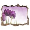 Samolepící díra nálepka Filé tulipány 95x64 cm