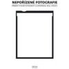Nepořízené fotografie - Will Steacy