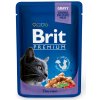 Brit Premium Cat kapsa with Cod Fish 100g
