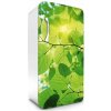 Fototapeta Dimex Leaves 65 x 120 cm FR120-009 (Samolepiace fototapety na chladničku )