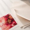 DIATECX 111,8cm x 50m Ivory SOL Paper Semi-matt 270