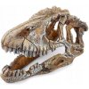 Happet Lebka dinosaura 17 cm