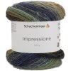 Pletacia vlna SCHACHENMAYR IMPRESSIONE 00083 béžová fialová zelená