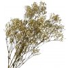 Stabilizovaná Gypsophila - Nevestin závoj 110g - prírodná biela