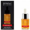 Millefiori Milano Aróma olej Natural Mela e Cannella 15 ml