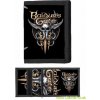 Baldurs Gate Wallet Skull