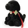 Rappa Plyšový pes labrador čierny s vodítkom 28 cm ECO-FRIENDLY
