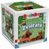 Asmodee Czech Republic BrainBox - zvieratá SK