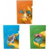 Ultra PRO - Pokémon Tournament Folios 3 Pack - Charizard, Blastoise, Venusaurus