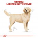 Royal Canin Labrador Retriever 12 kg