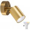 Polux LED RGBW stmievateľné nástenné bodové svietidlo GOLDI 1xGU10/6,5W/230V zlaté LEDSA2134 + záruka 3 roky zadarmo + záruka 3 roky zadarmo